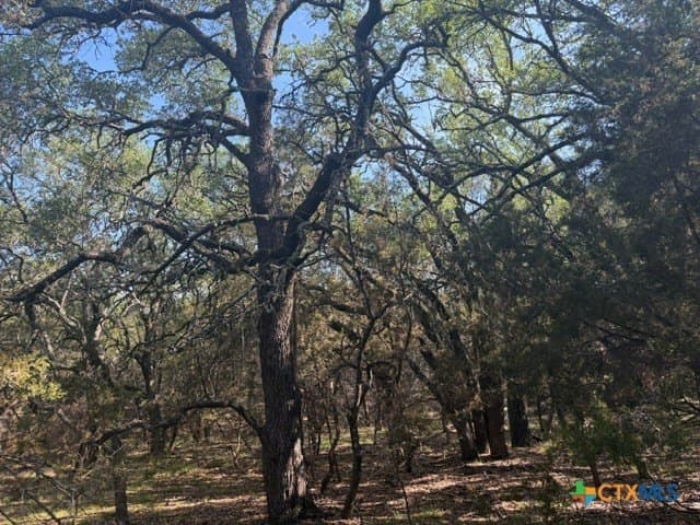 10.06 acres in Lampasas County - photo 8