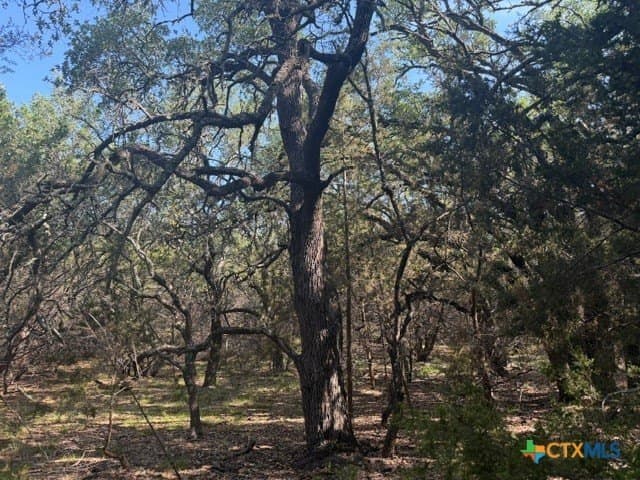 10.06 acres in Lampasas County gallery image 4