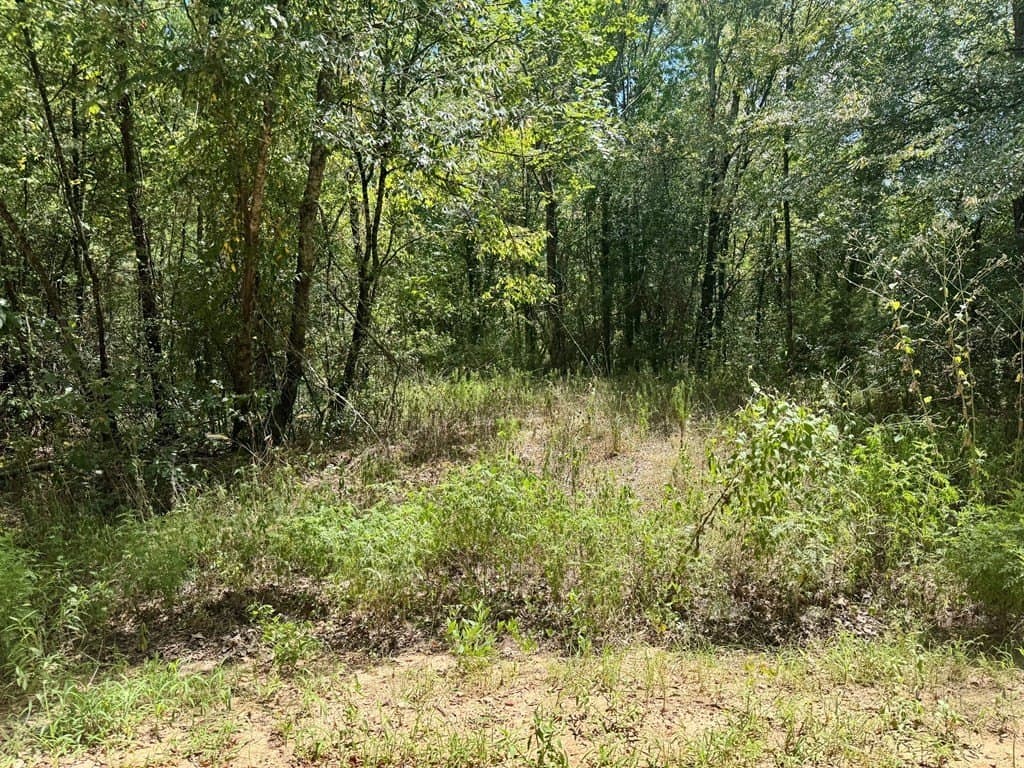 1.84 acres in Texas County gallery image 4