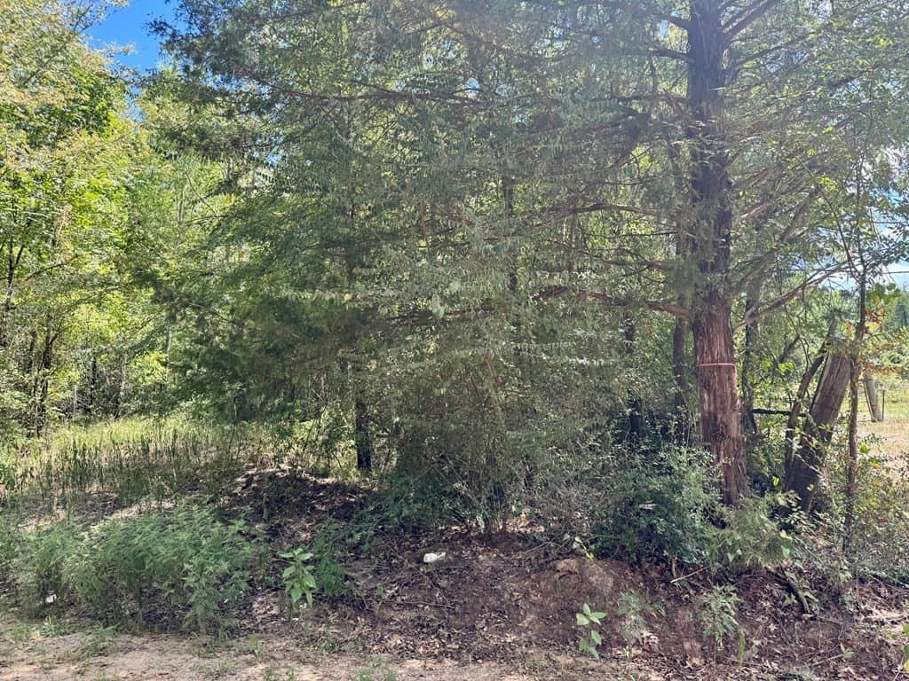 1.84 acres in Texas County gallery image 3