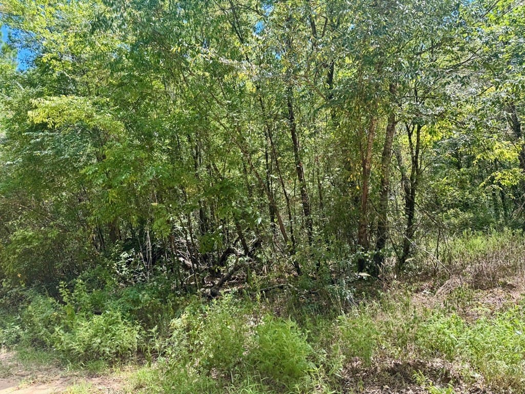 1.84 acres in Texas County featured view