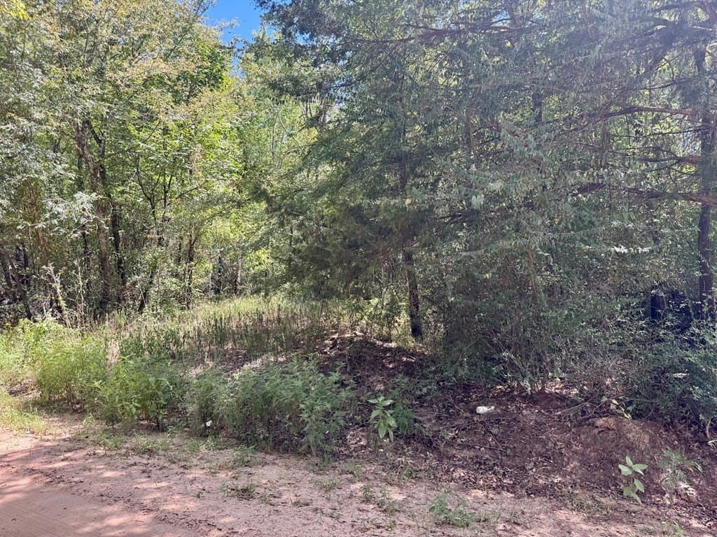1.84 acres in Texas County gallery image 2