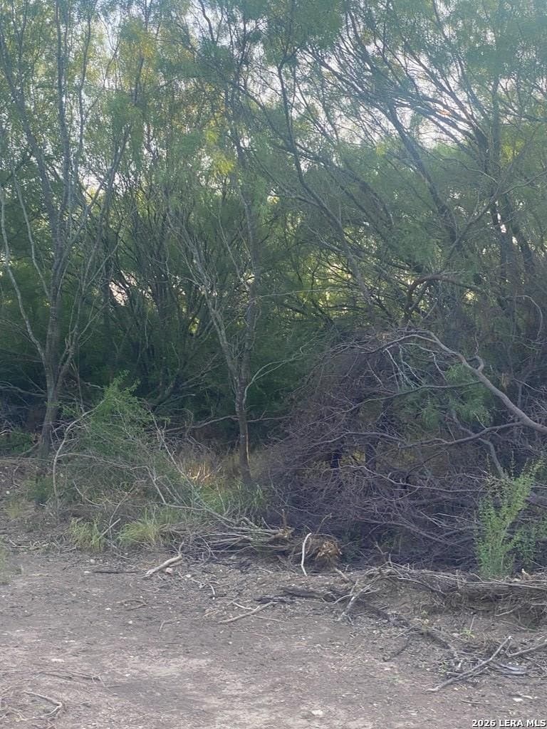 0.43 acres in Maverick County gallery image 4