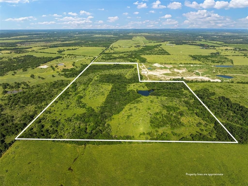 81.66 acres in Limestone County