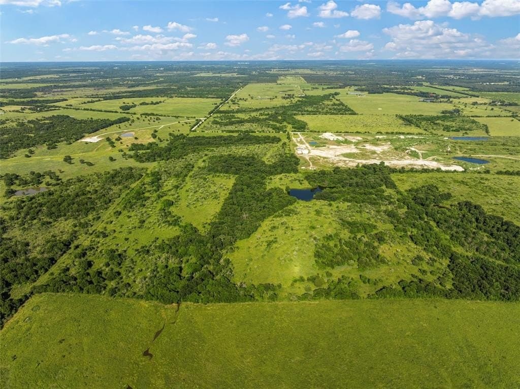 81.66 acres in Limestone County featured view