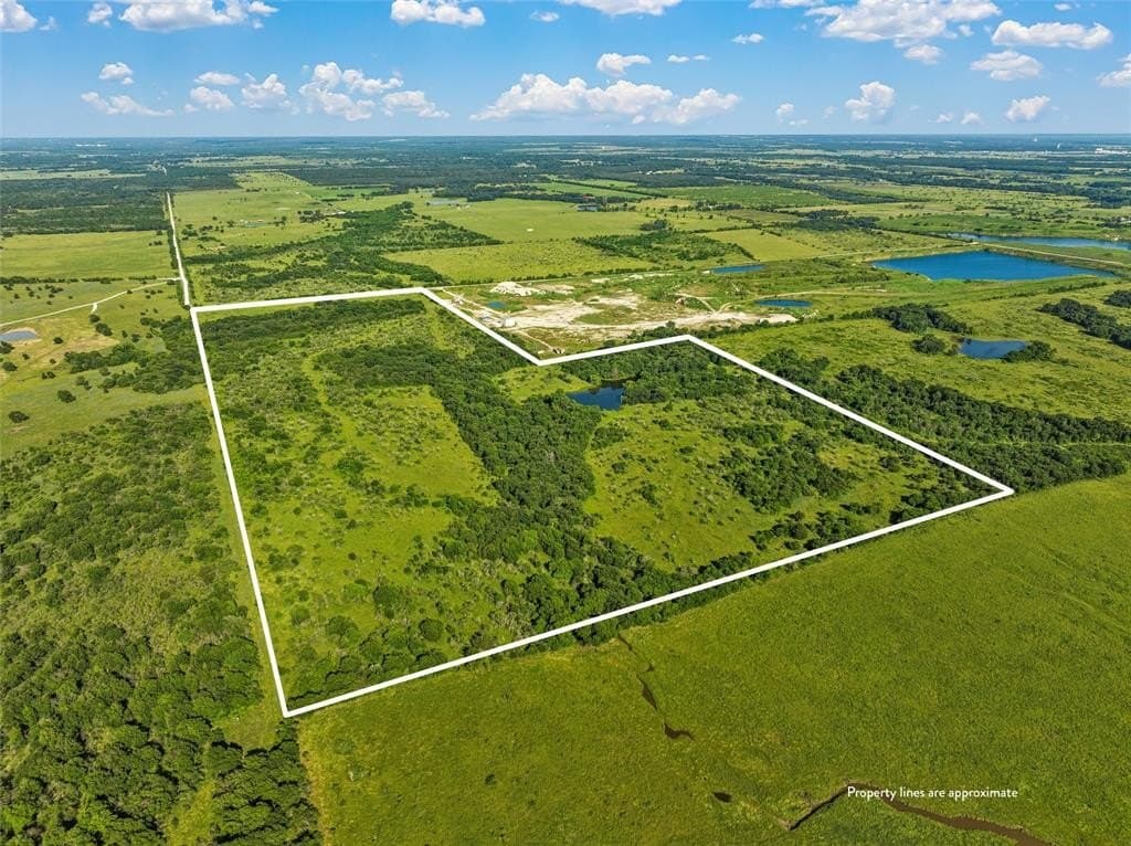 81.66 acres in Limestone County gallery image 3
