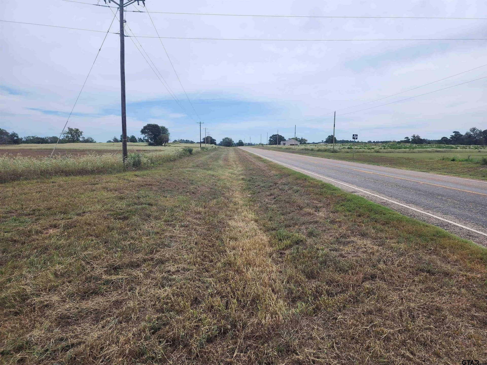 1.65 acres in Camp County - photo 3