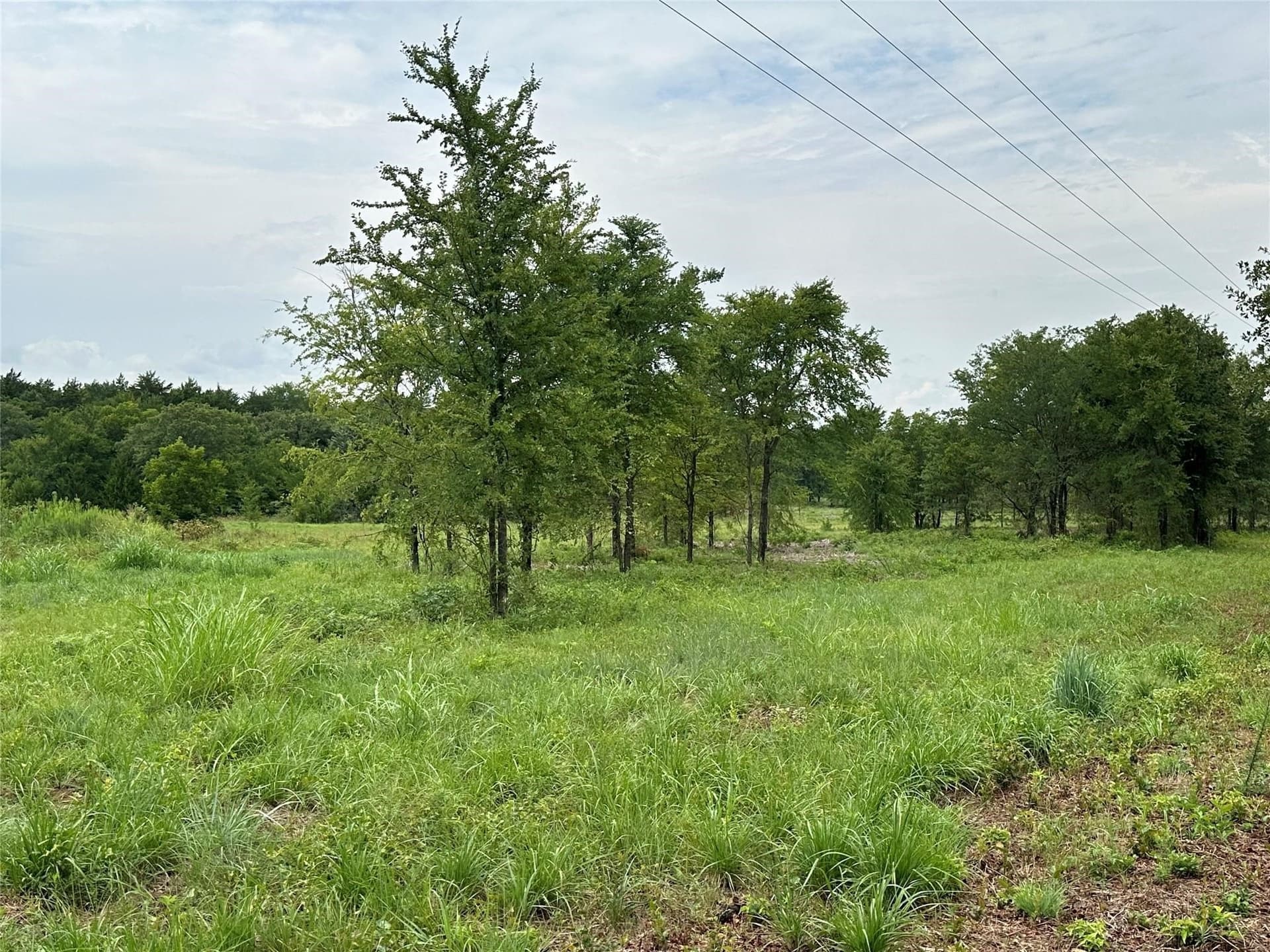 12.37 acres in Cooke County - photo 9