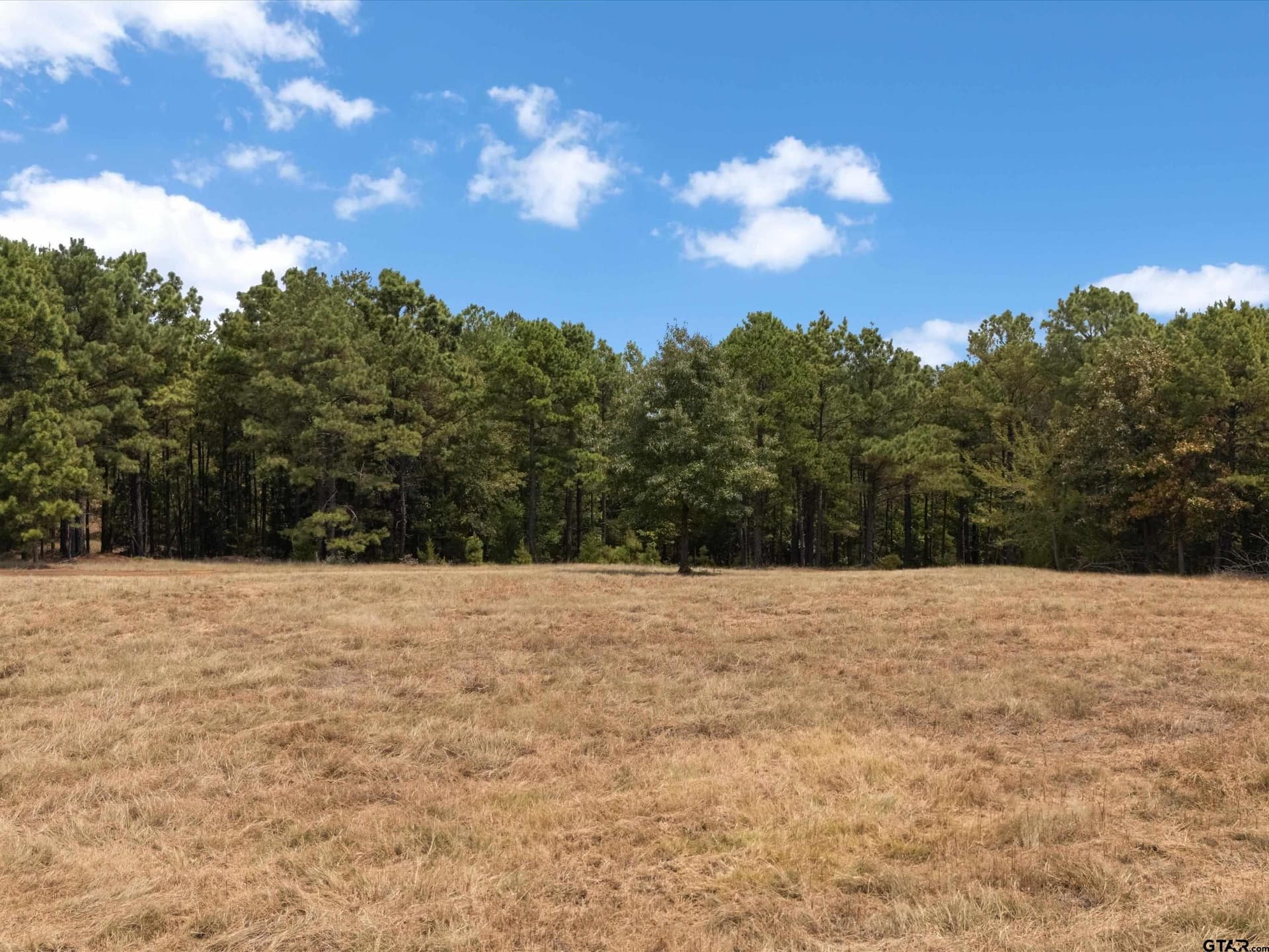 55 acres in Upshur County - photo 11