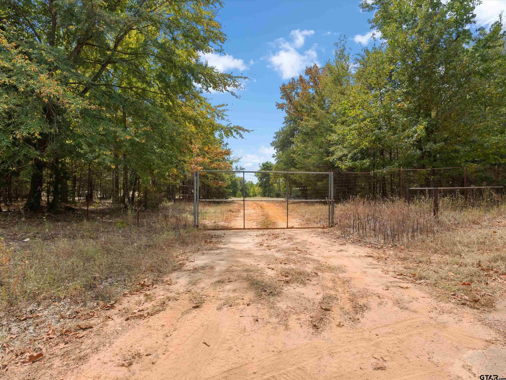 55 acres in Upshur County - photo 16