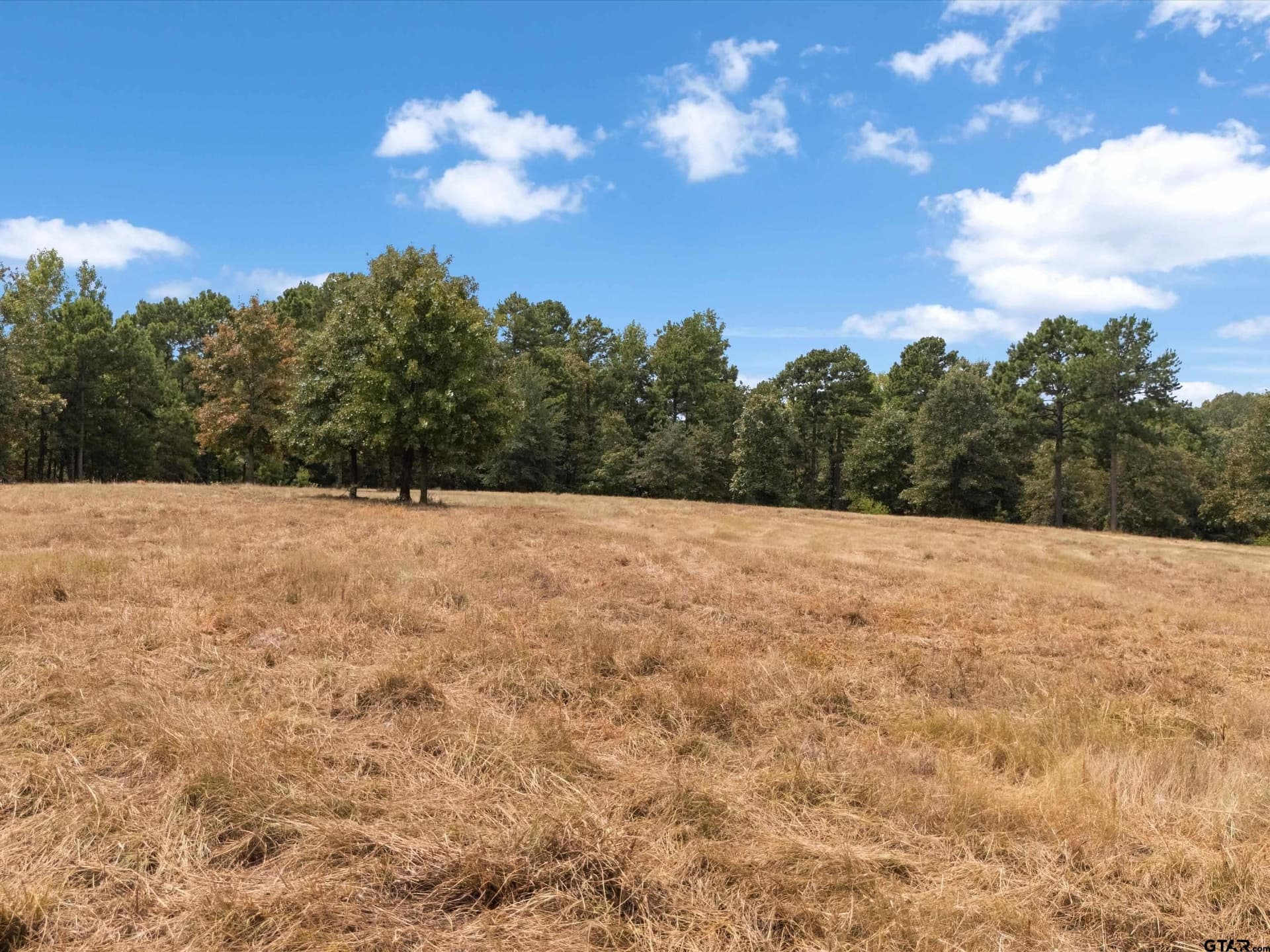 55 acres in Upshur County - photo 10