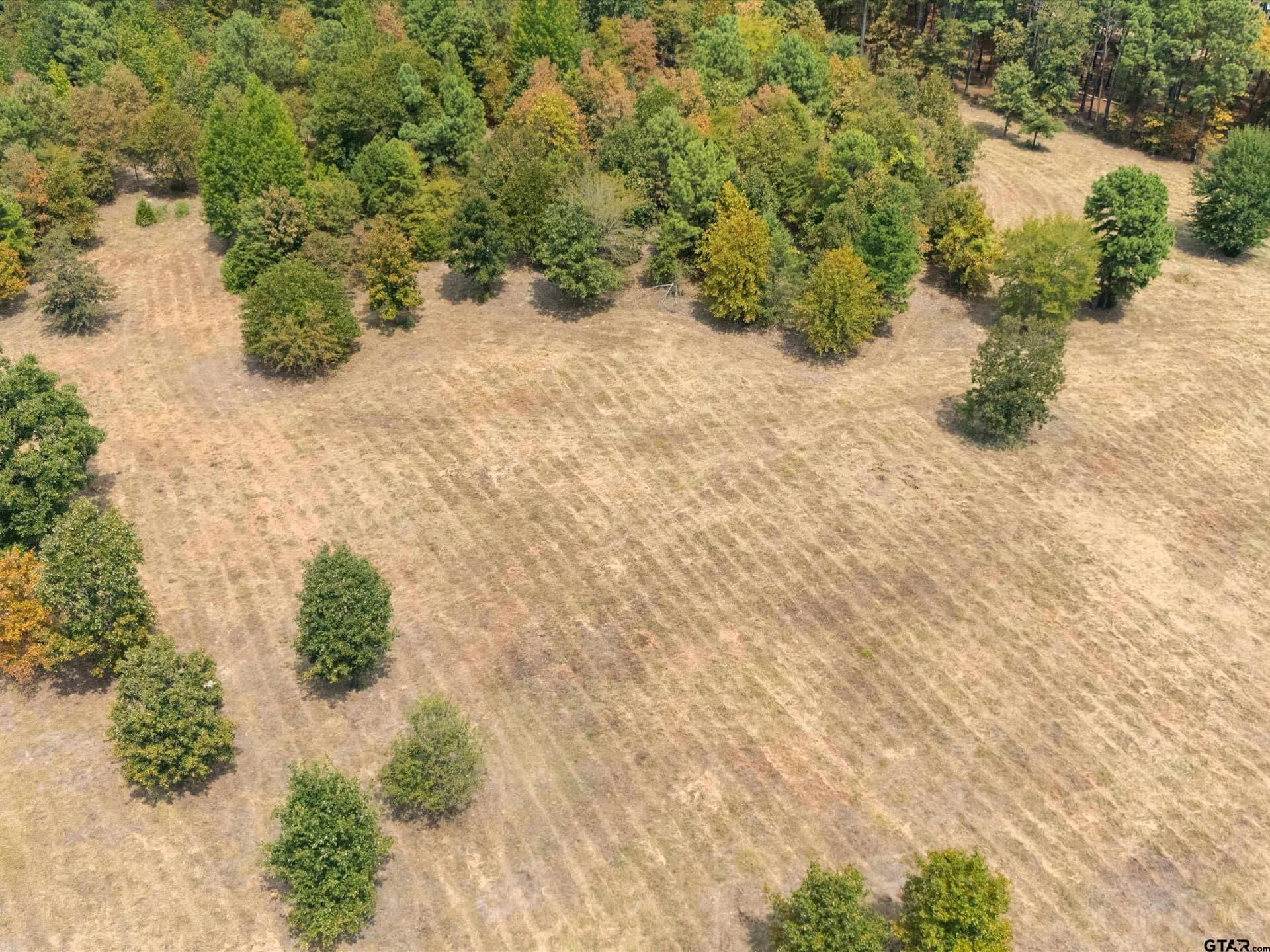 55 acres in Upshur County - photo 8