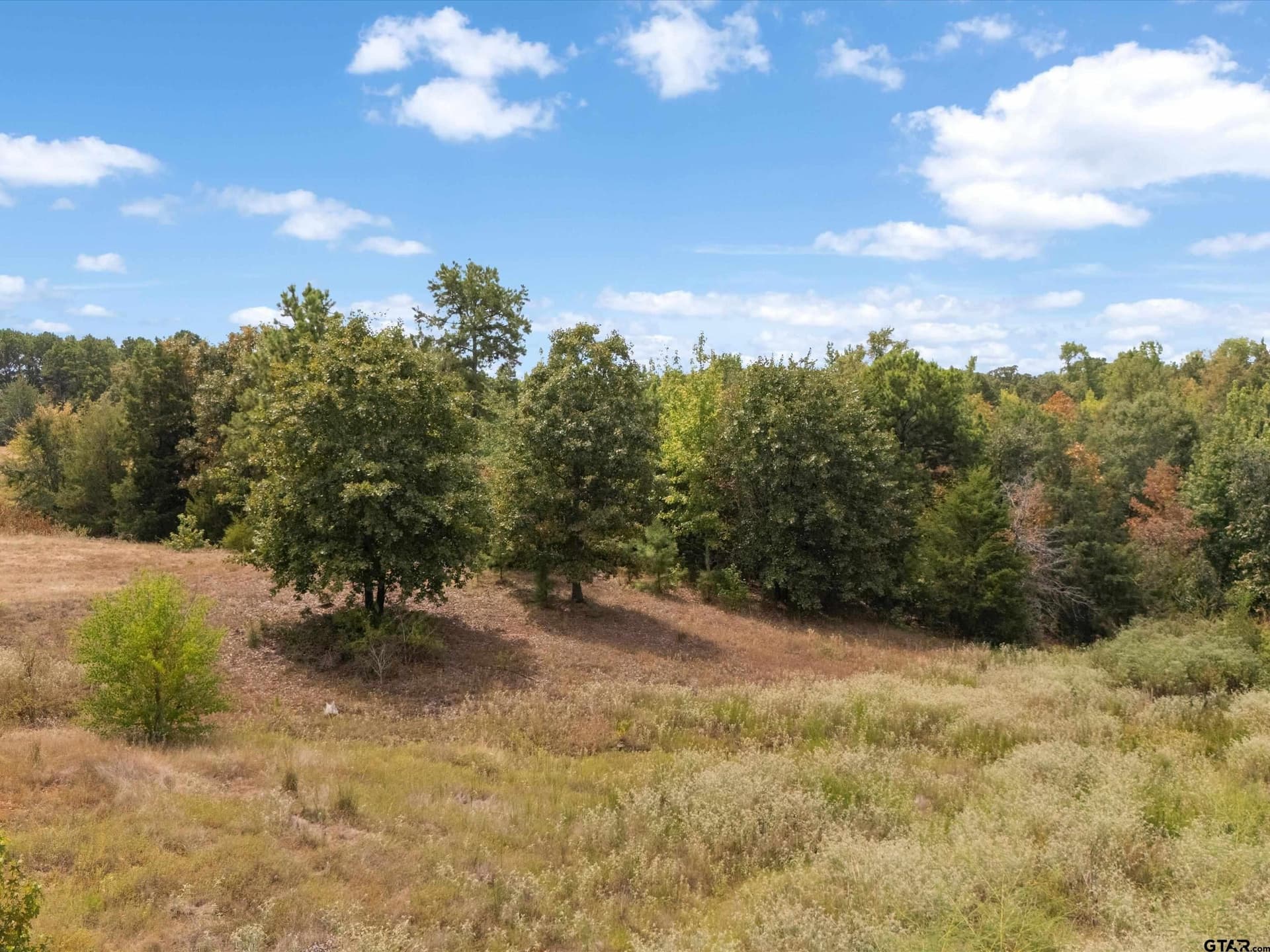 55 acres in Upshur County - photo 13