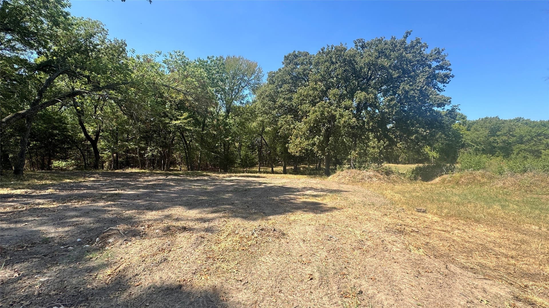 5.41 acres in Rains County - photo 5