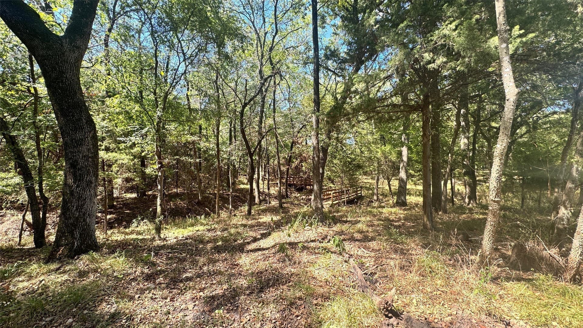 5.41 acres in Rains County - photo 10