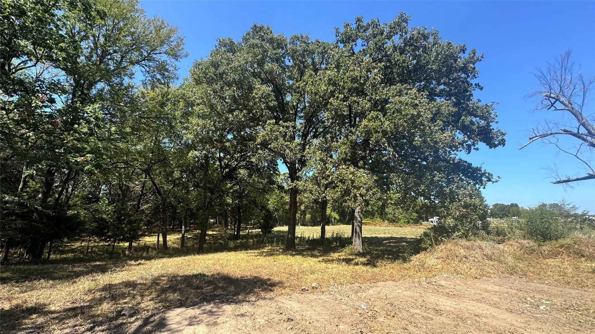 5.41 acres in Rains County - photo 4