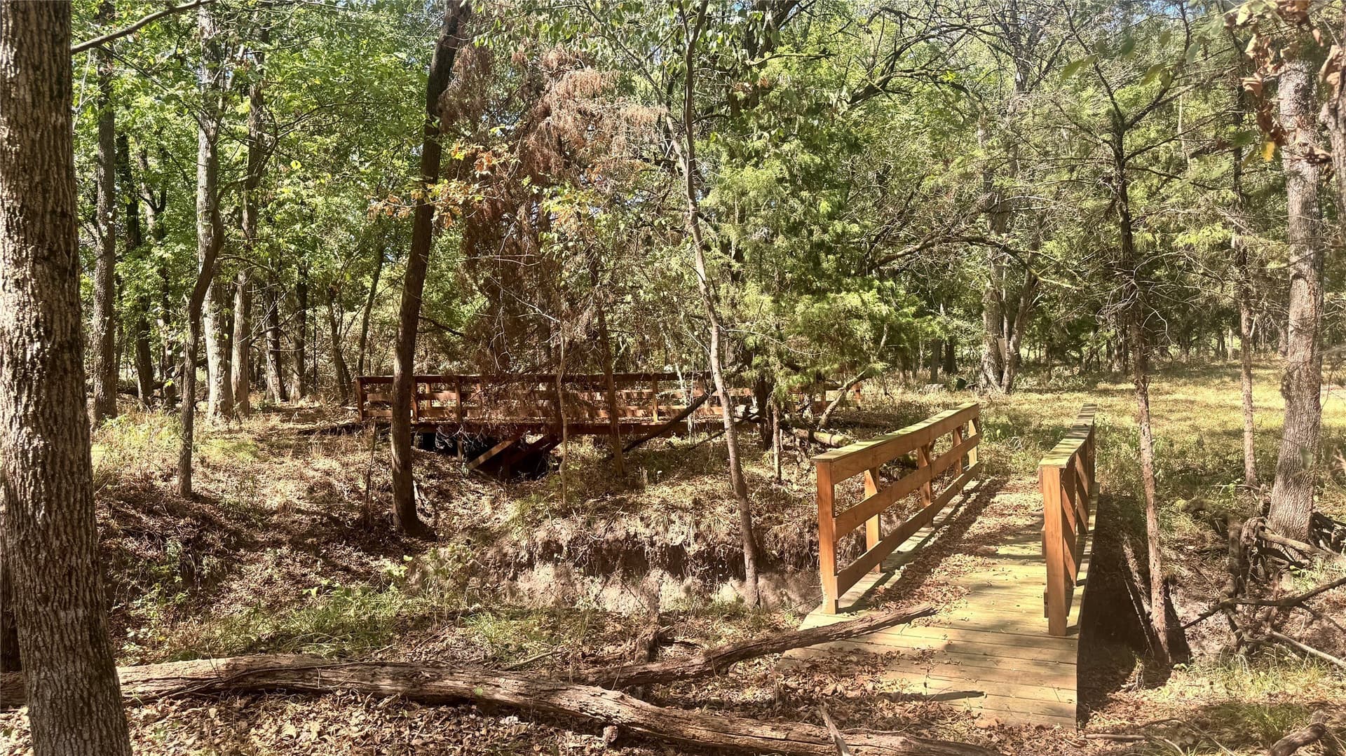 5.41 acres in Rains County - photo 9