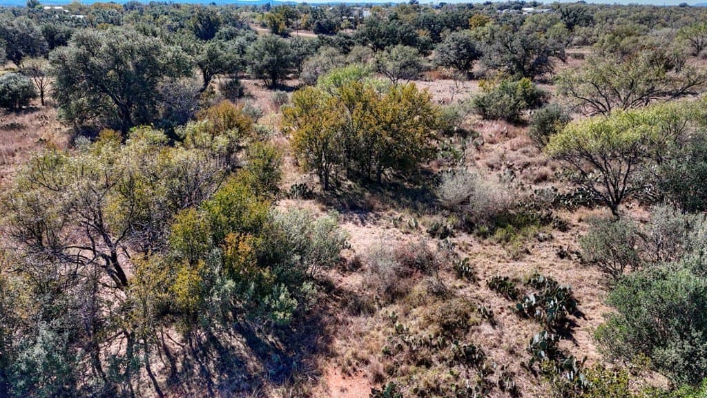 5.16 acres in Llano County - photo 12