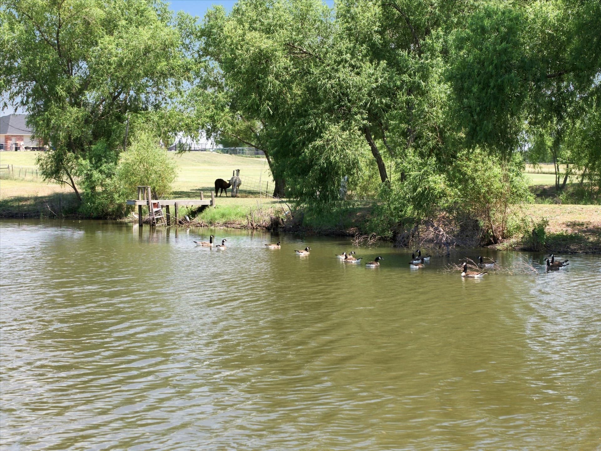 23.63 acres in Rockwall County - photo 33