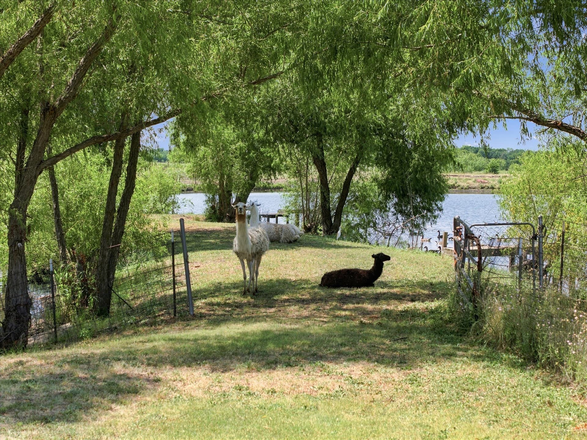 23.63 acres in Rockwall County - photo 34