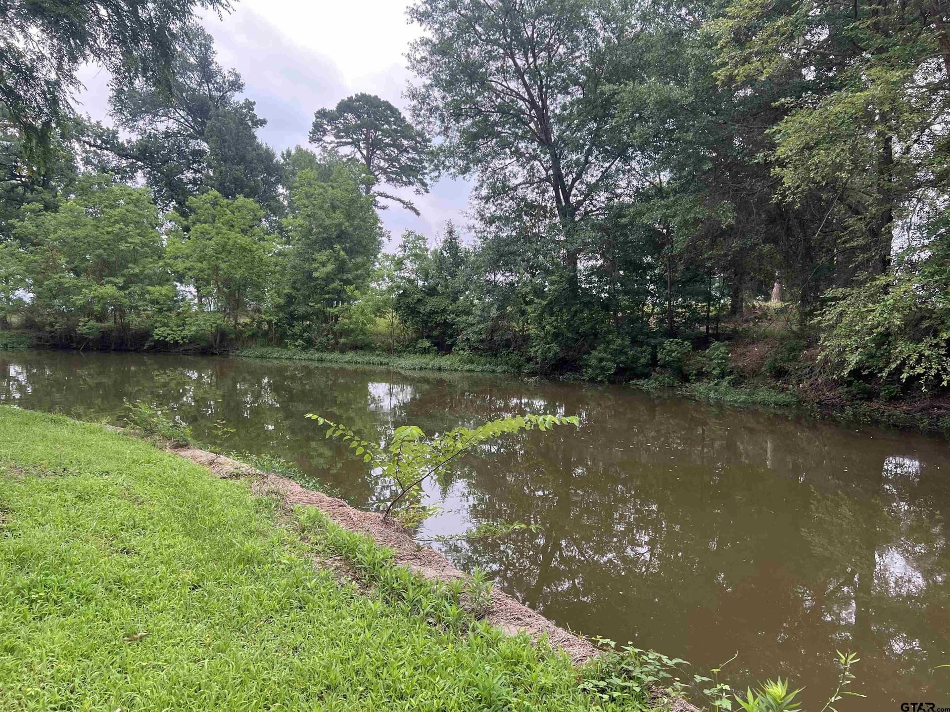 0.23 acres in Henderson County gallery image 2