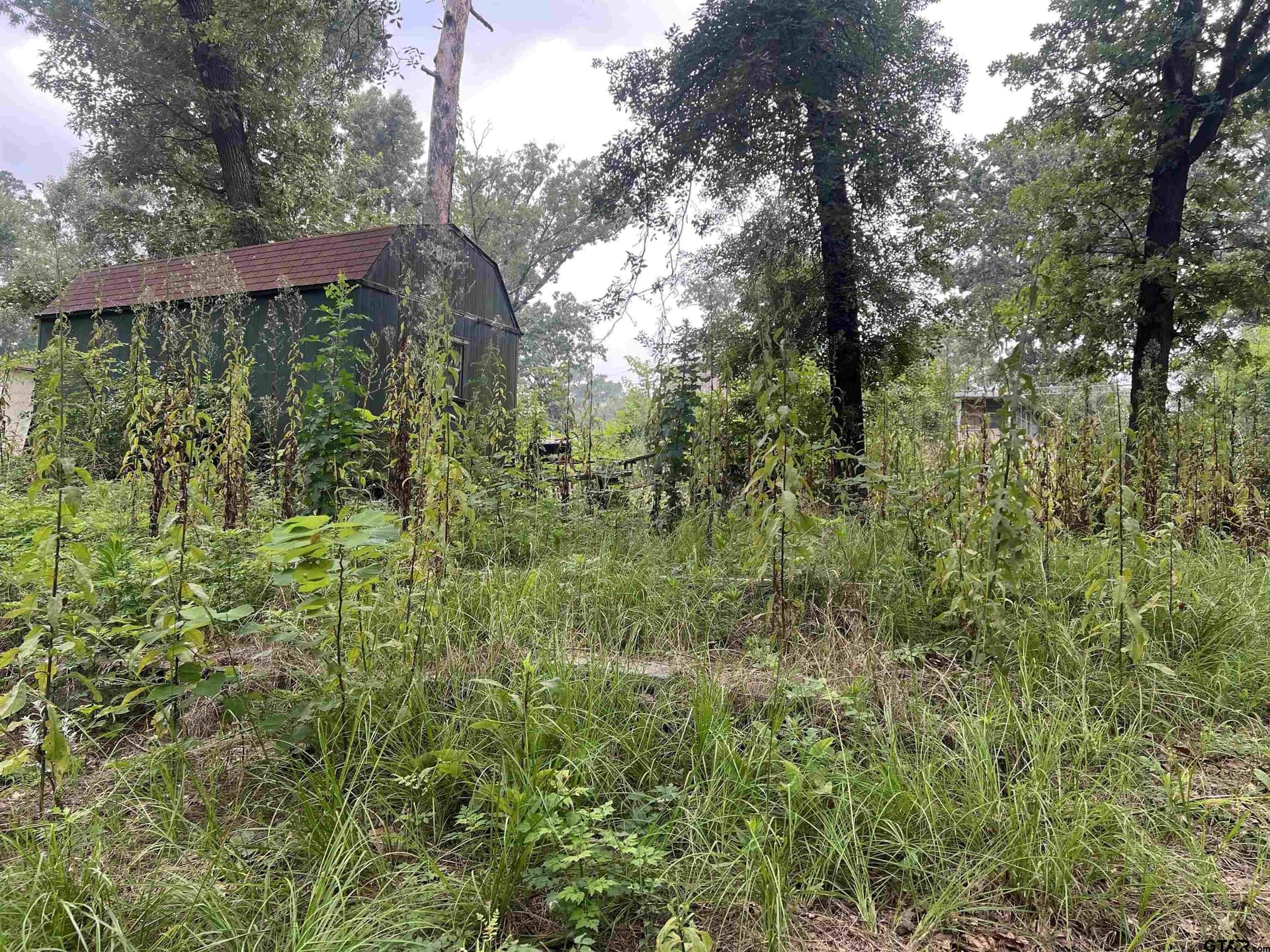 0.23 acres in Henderson County - photo 6