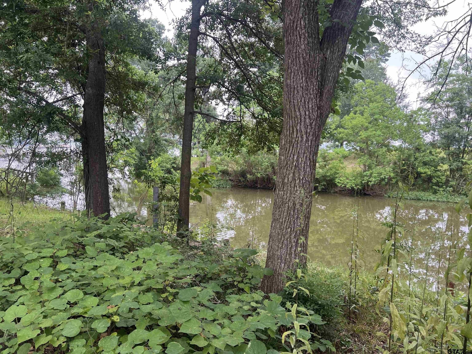 0.23 acres in Henderson County gallery image 4