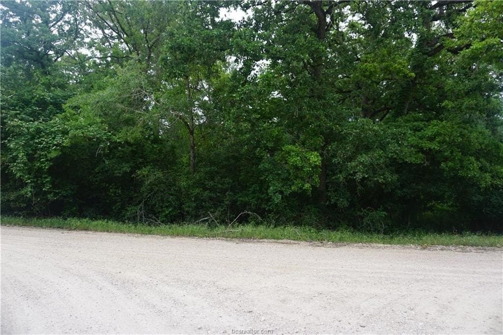 4.94 acres in Burleson County gallery image 3