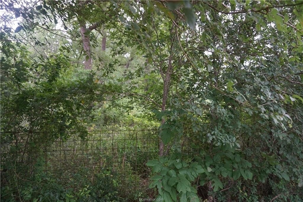 4.94 acres in Burleson County