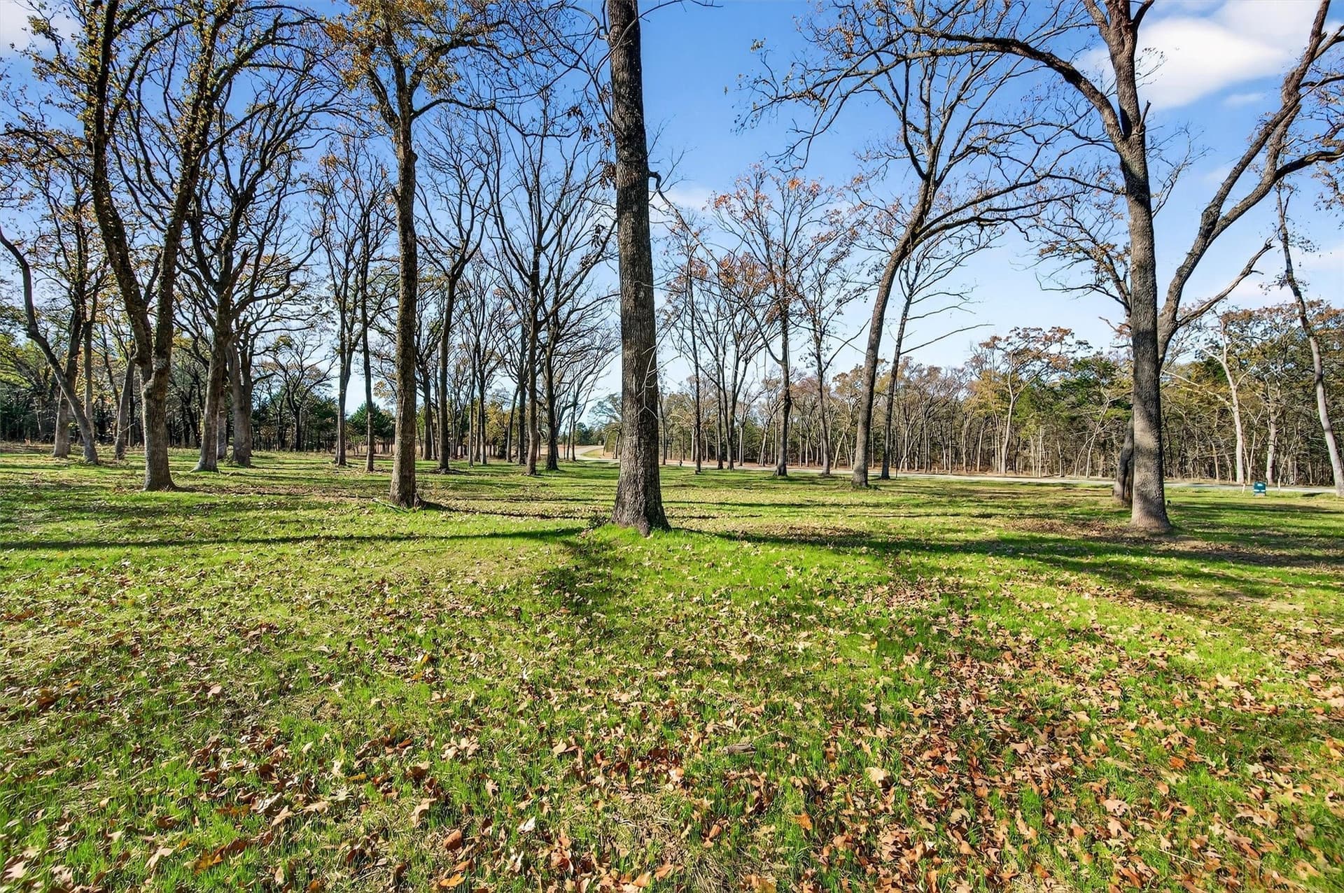 1.1 acres in Grayson County - photo 14