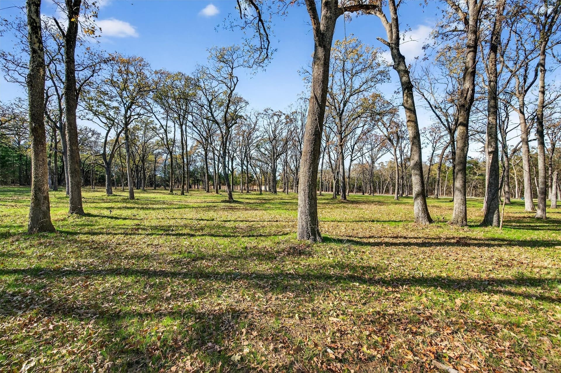 1.1 acres in Grayson County - photo 15