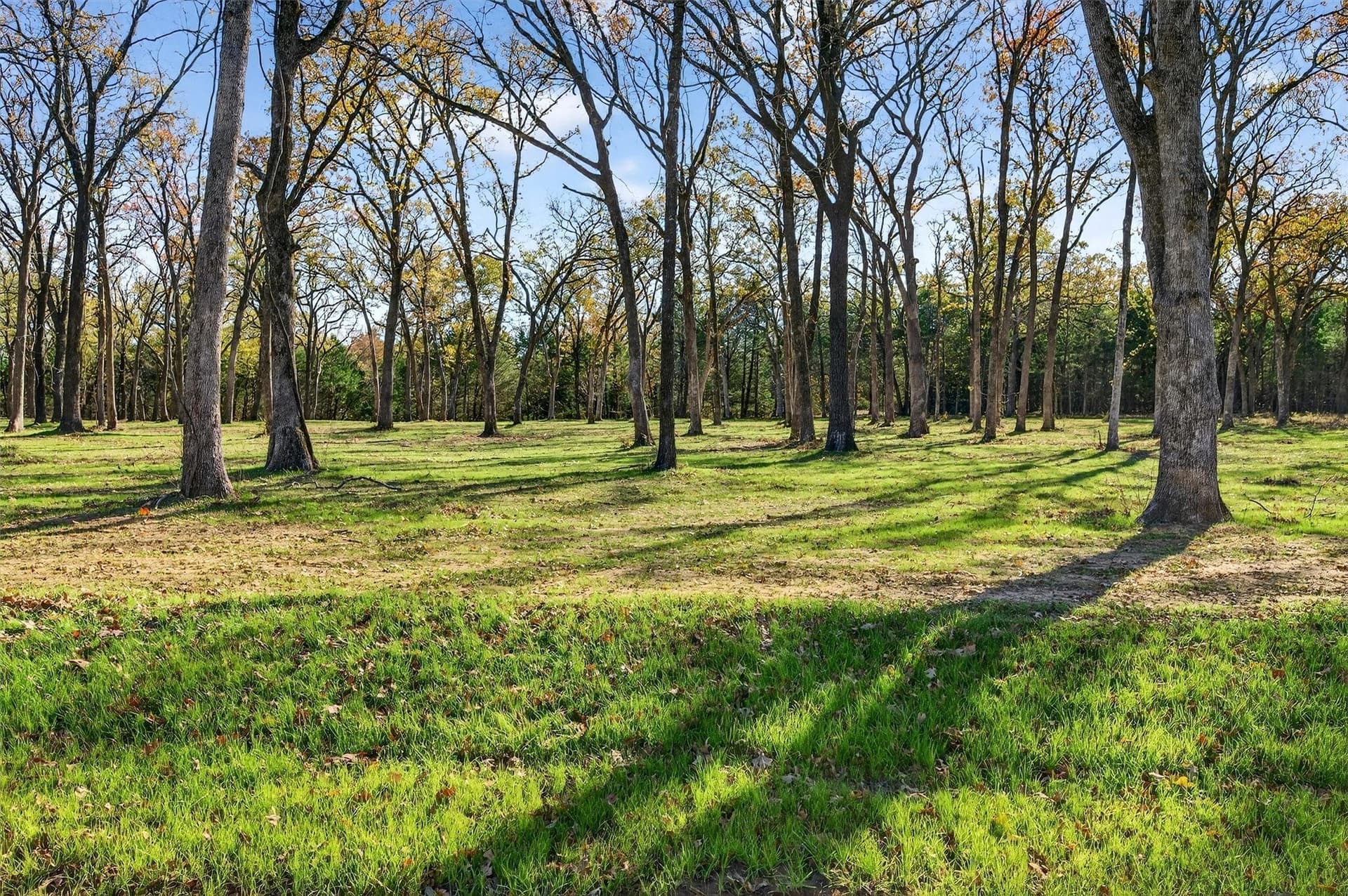 1.1 acres in Grayson County - photo 11