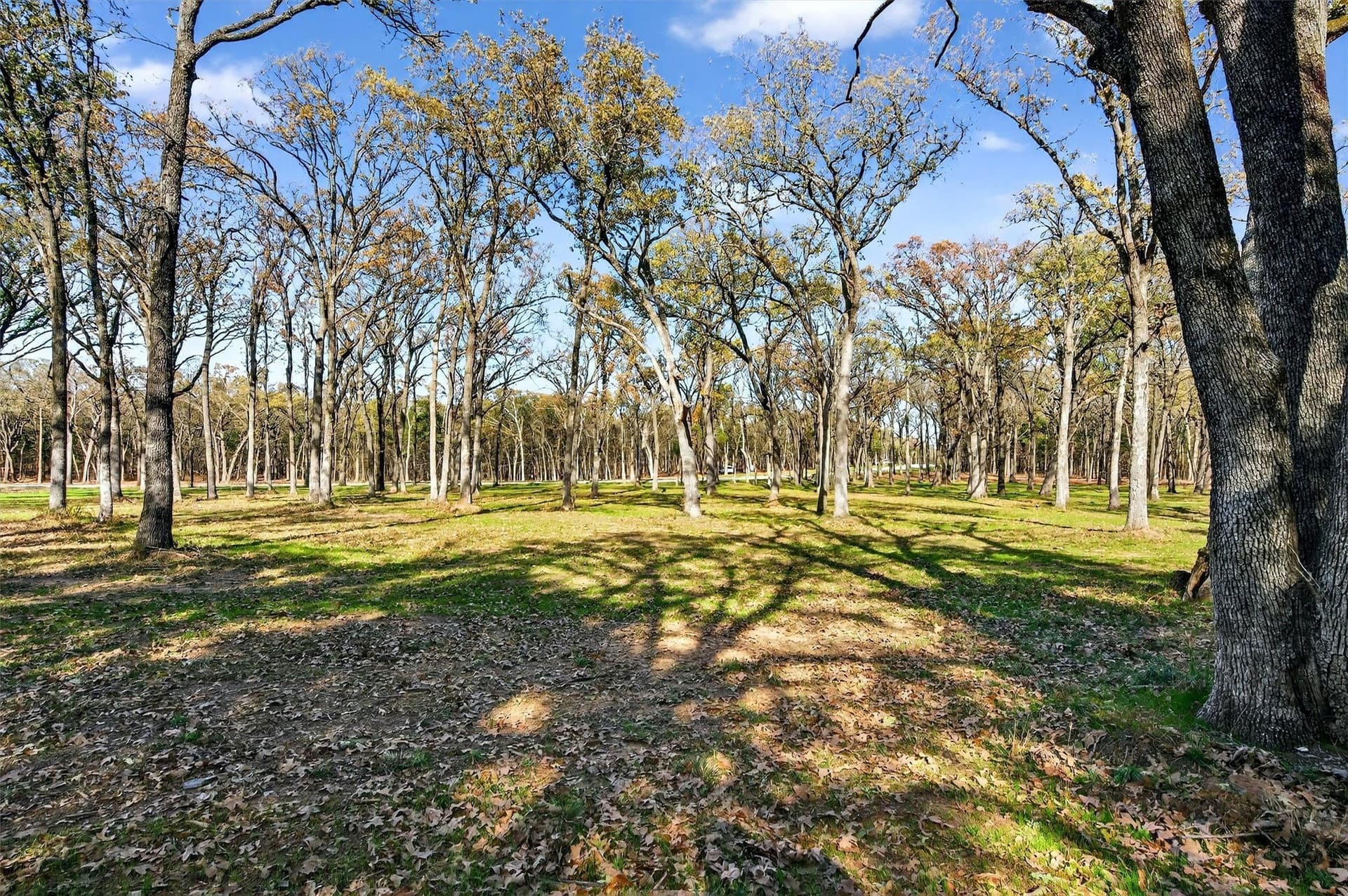 1.1 acres in Grayson County - photo 17