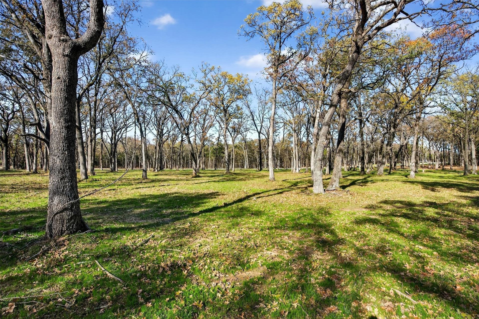 1.1 acres in Grayson County - photo 16