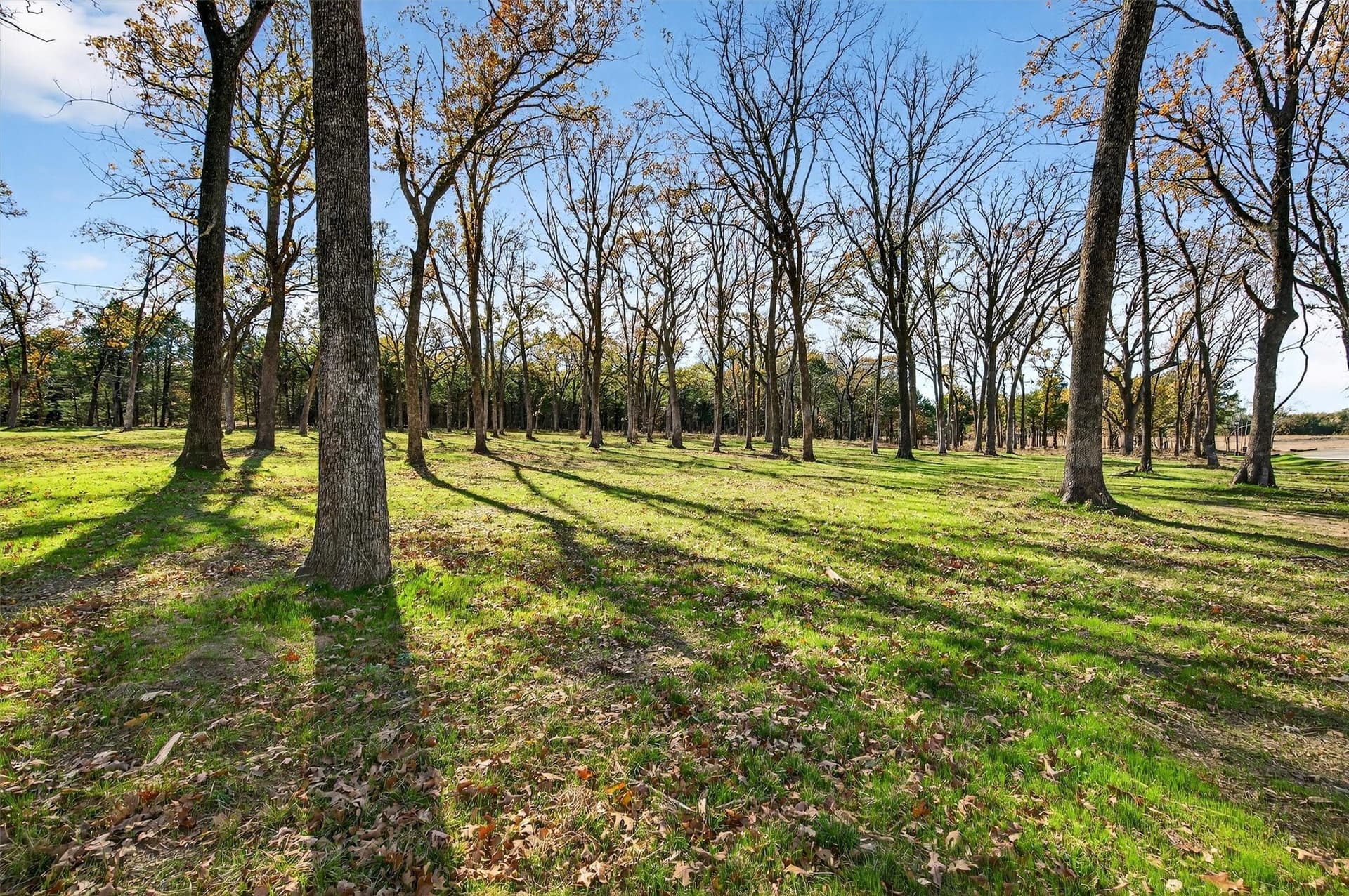 1.1 acres in Grayson County - photo 13