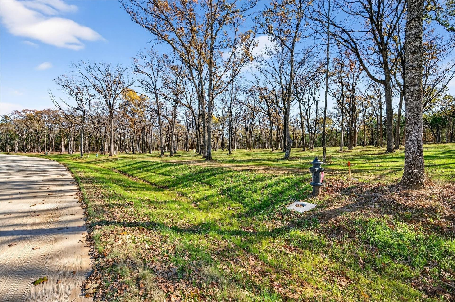 1.1 acres in Grayson County - photo 9