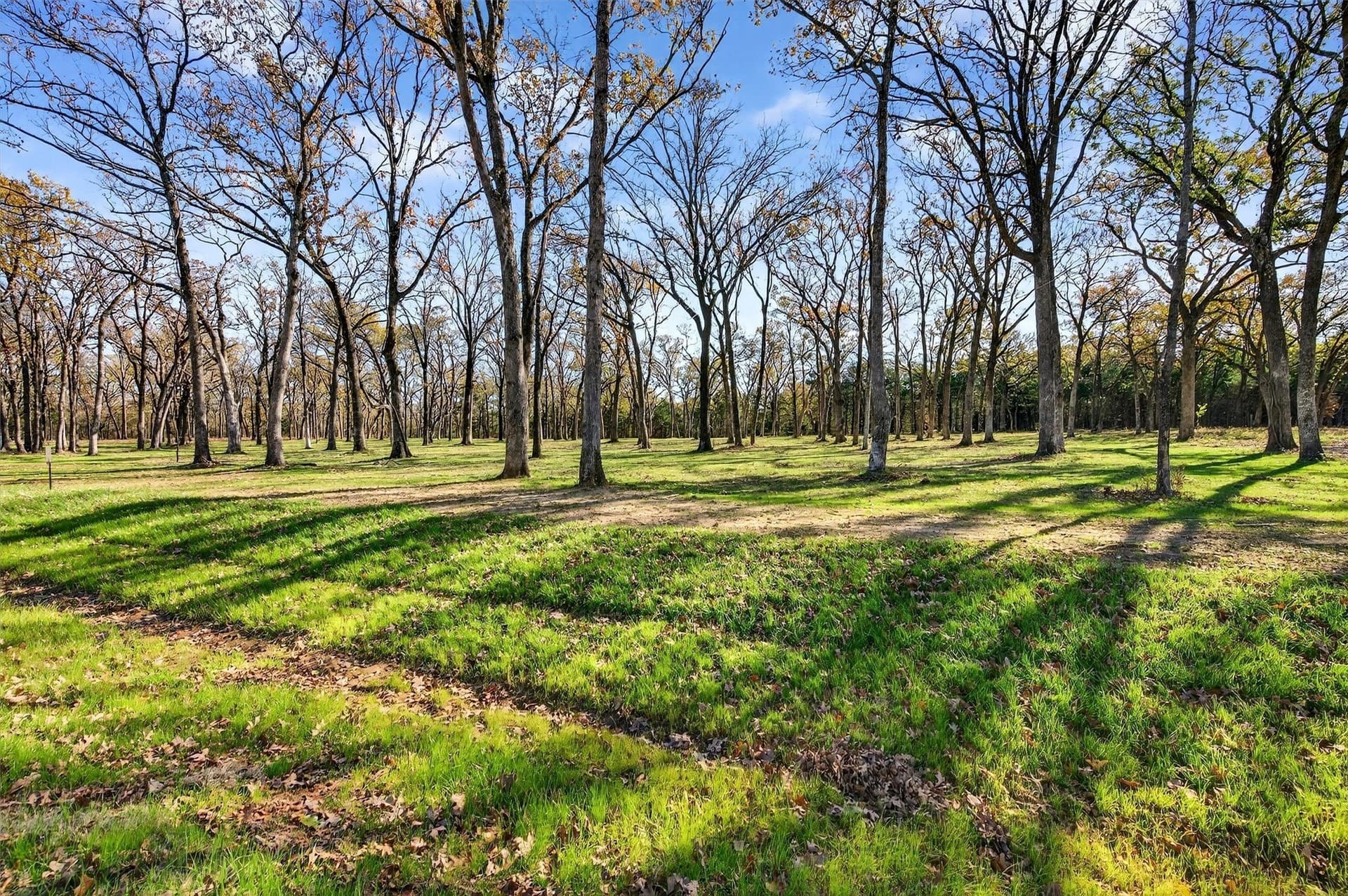 1.1 acres in Grayson County - photo 10
