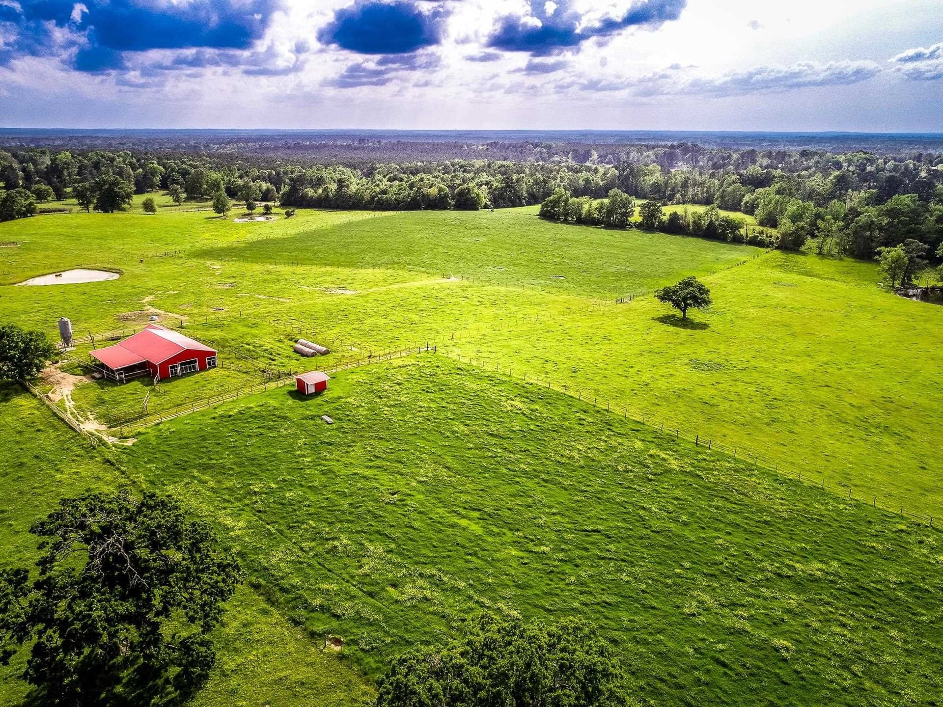 212.3 acres in Panola County - photo 25