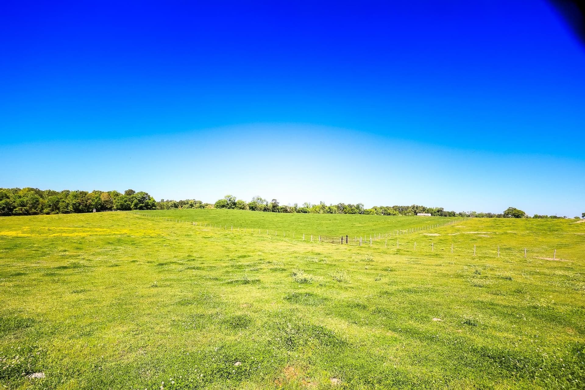 212.3 acres in Panola County - photo 11