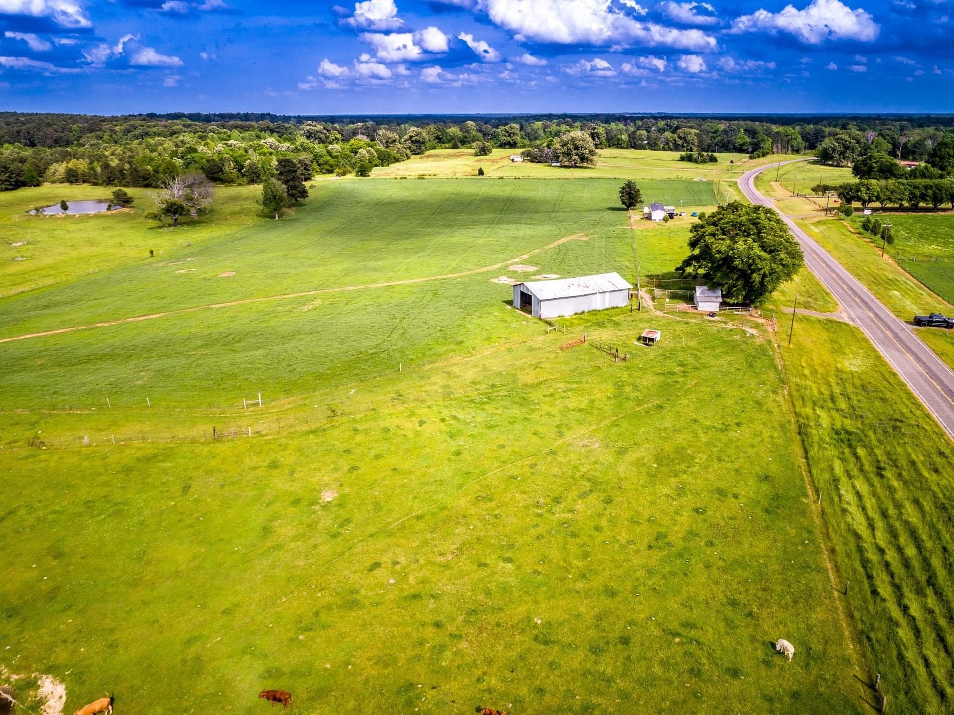 212.3 acres in Panola County - photo 31