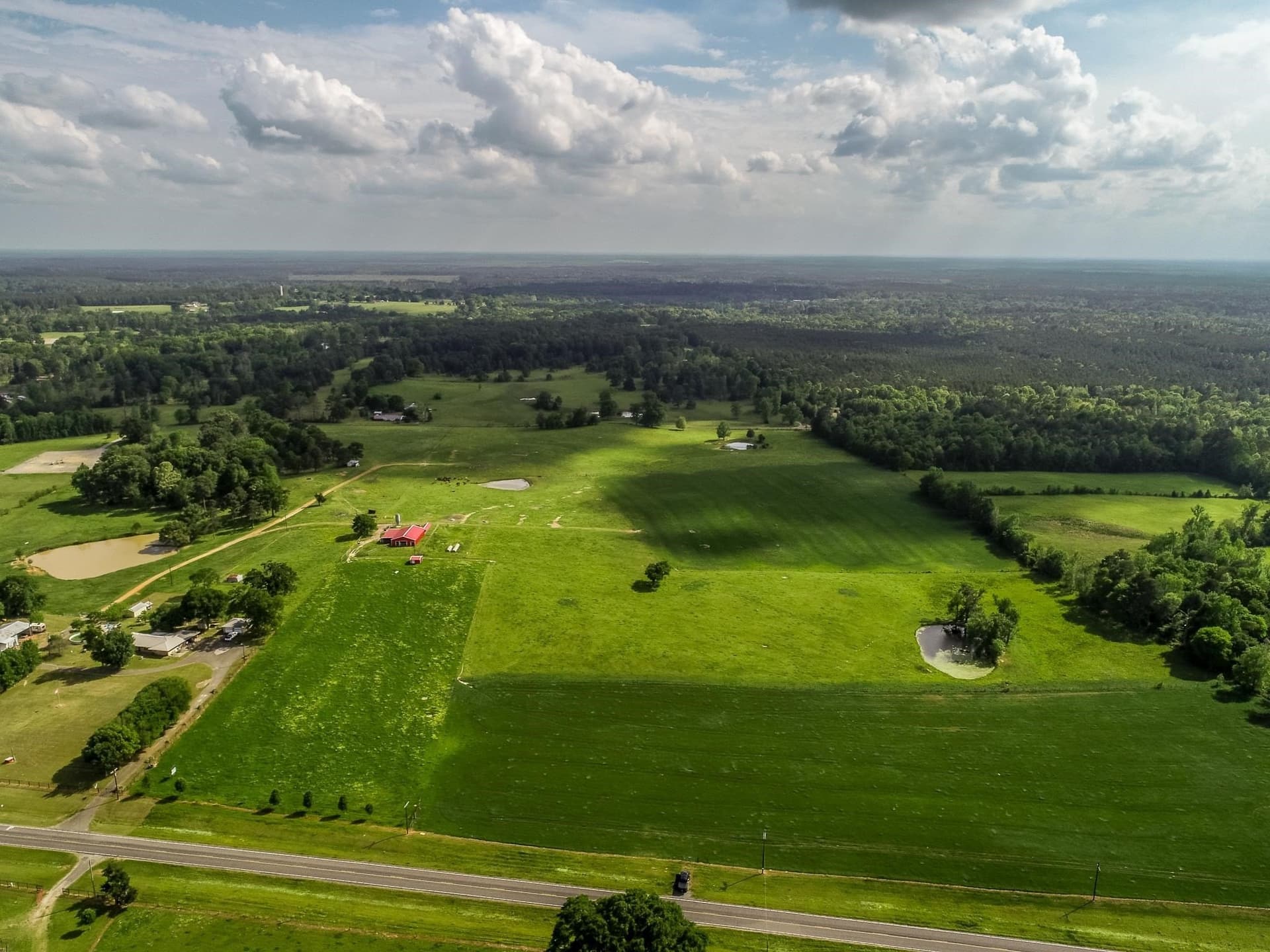 212.3 acres in Panola County - photo 19