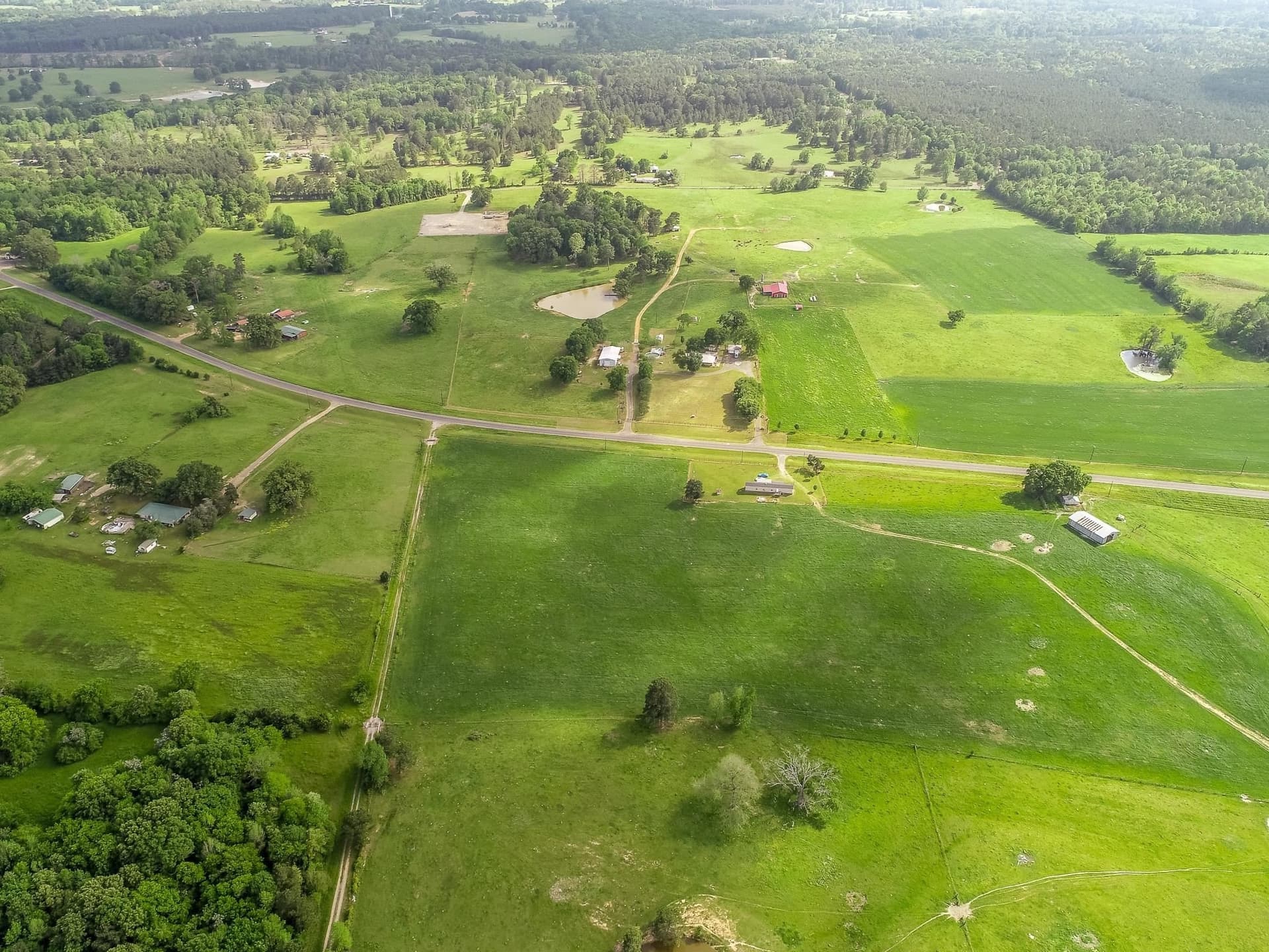 212.3 acres in Panola County - photo 36