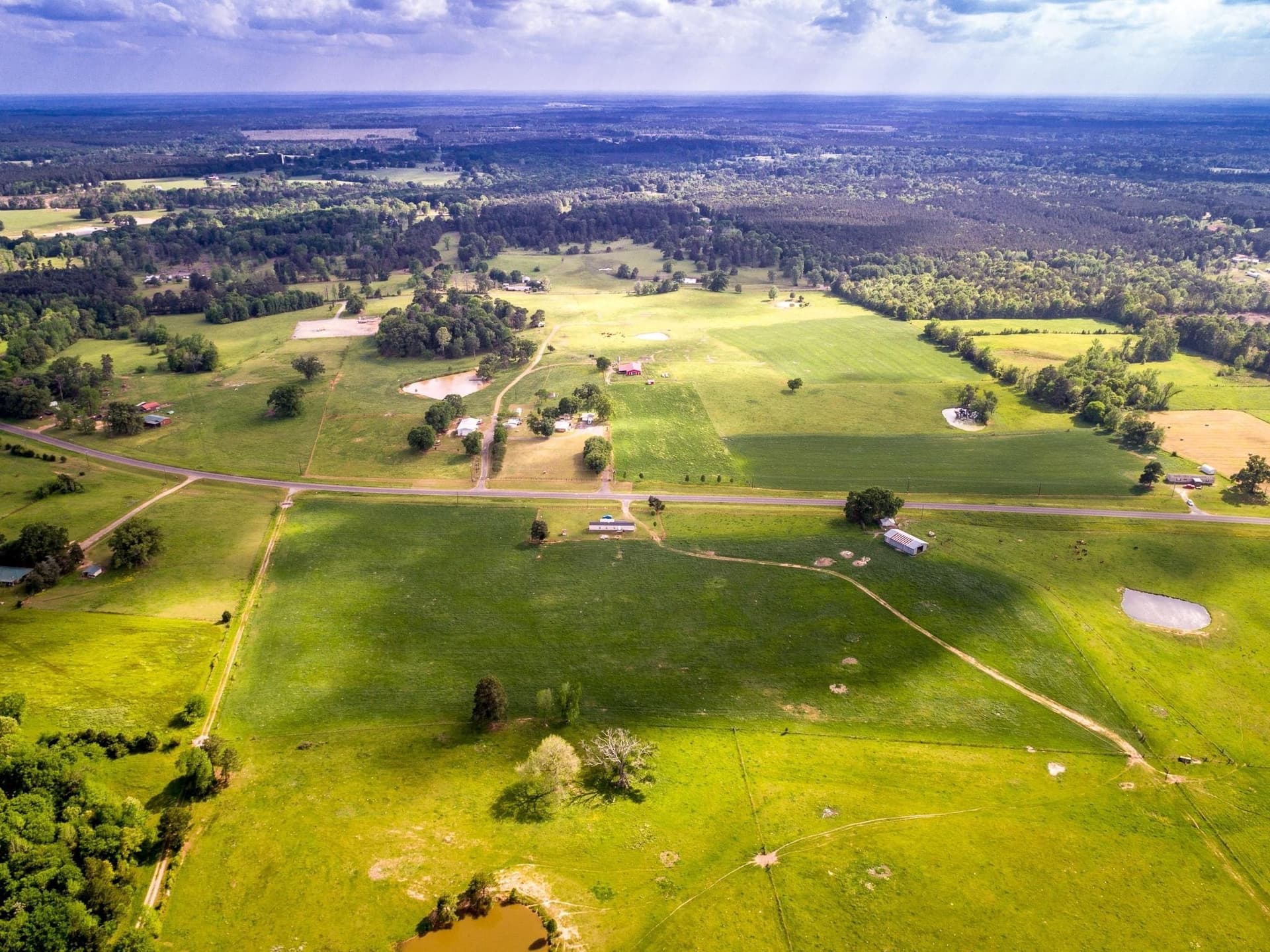 212.3 acres in Panola County - photo 20