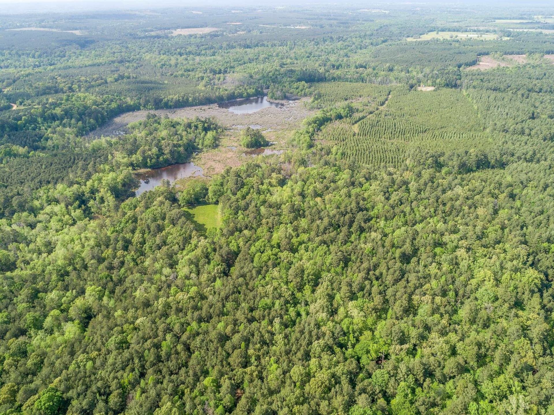 212.3 acres in Panola County - photo 21