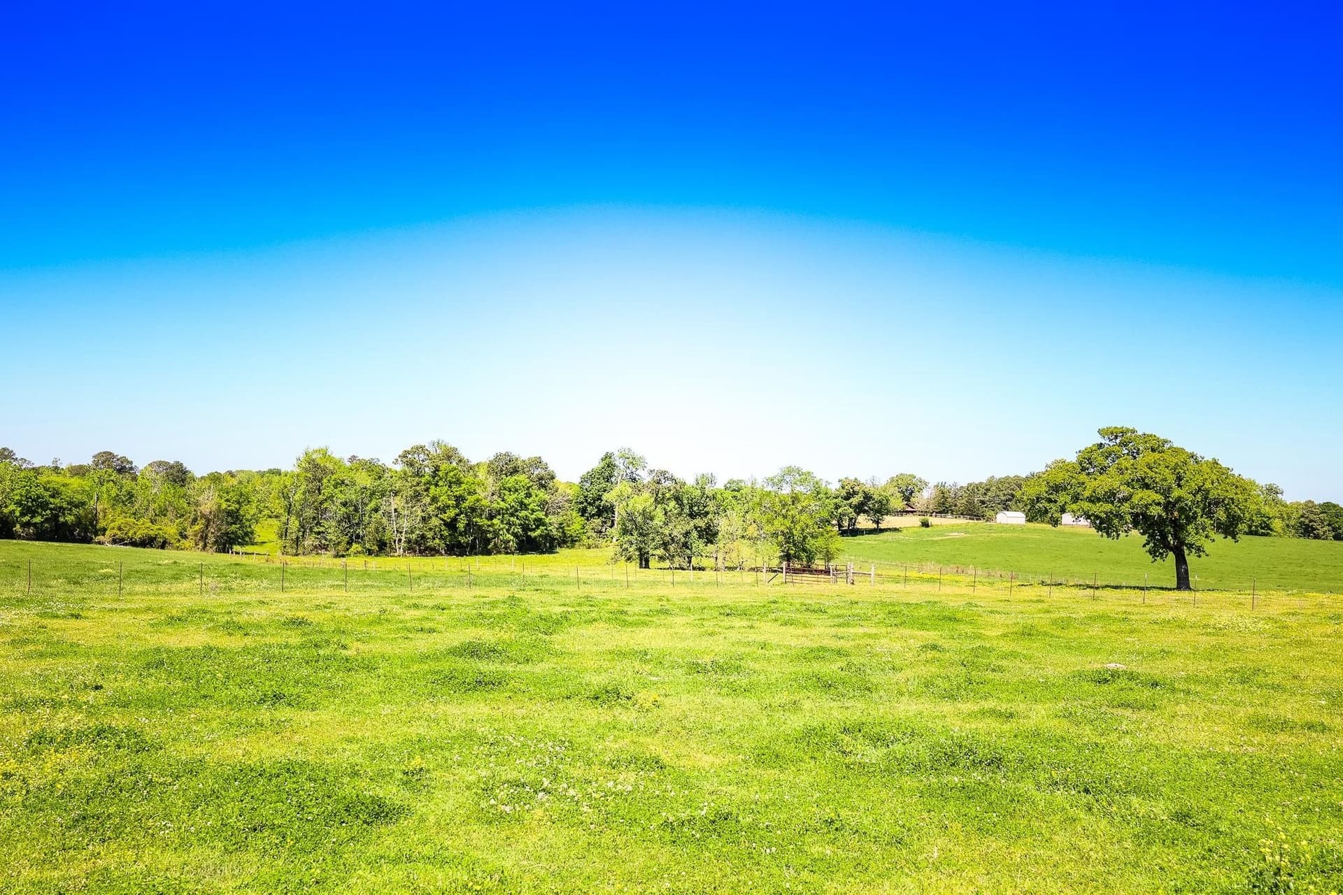 212.3 acres in Panola County - photo 13