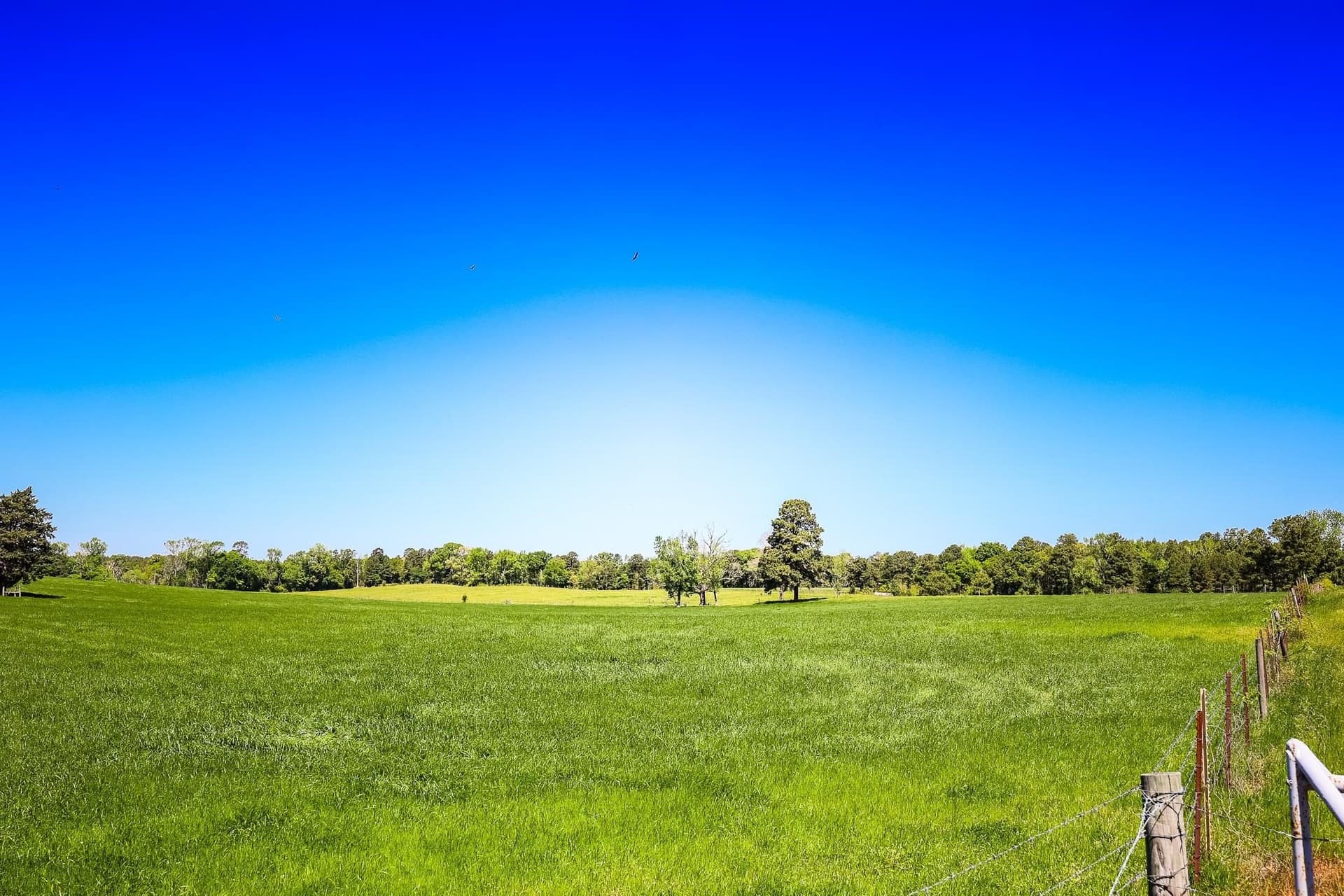 212.3 acres in Panola County - photo 15