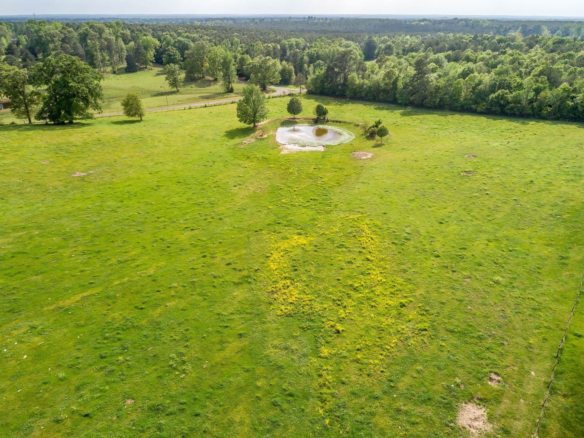 212.3 acres in Panola County - photo 27