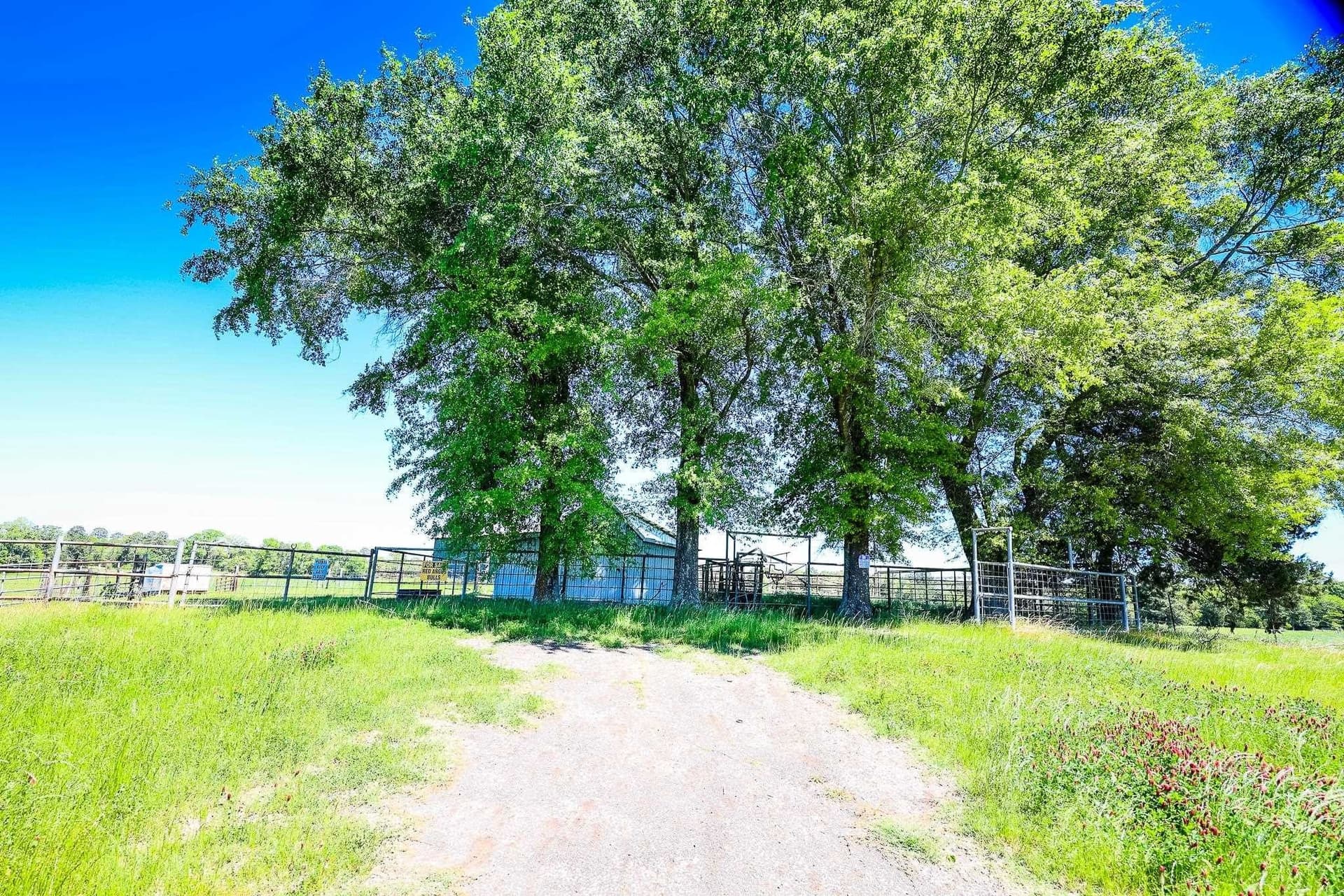212.3 acres in Panola County - photo 17