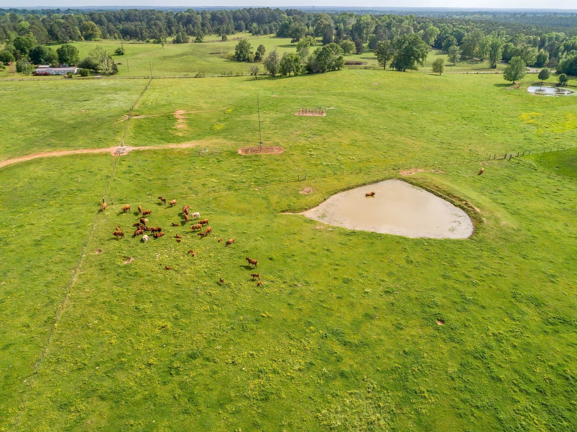 212.3 acres in Panola County - photo 26