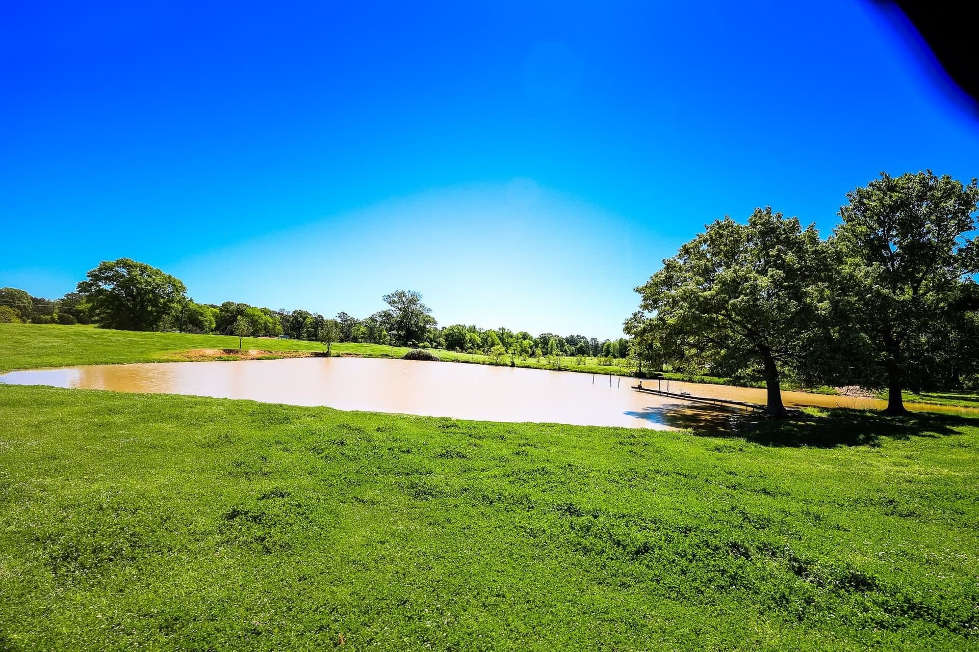 212.3 acres in Panola County - photo 10